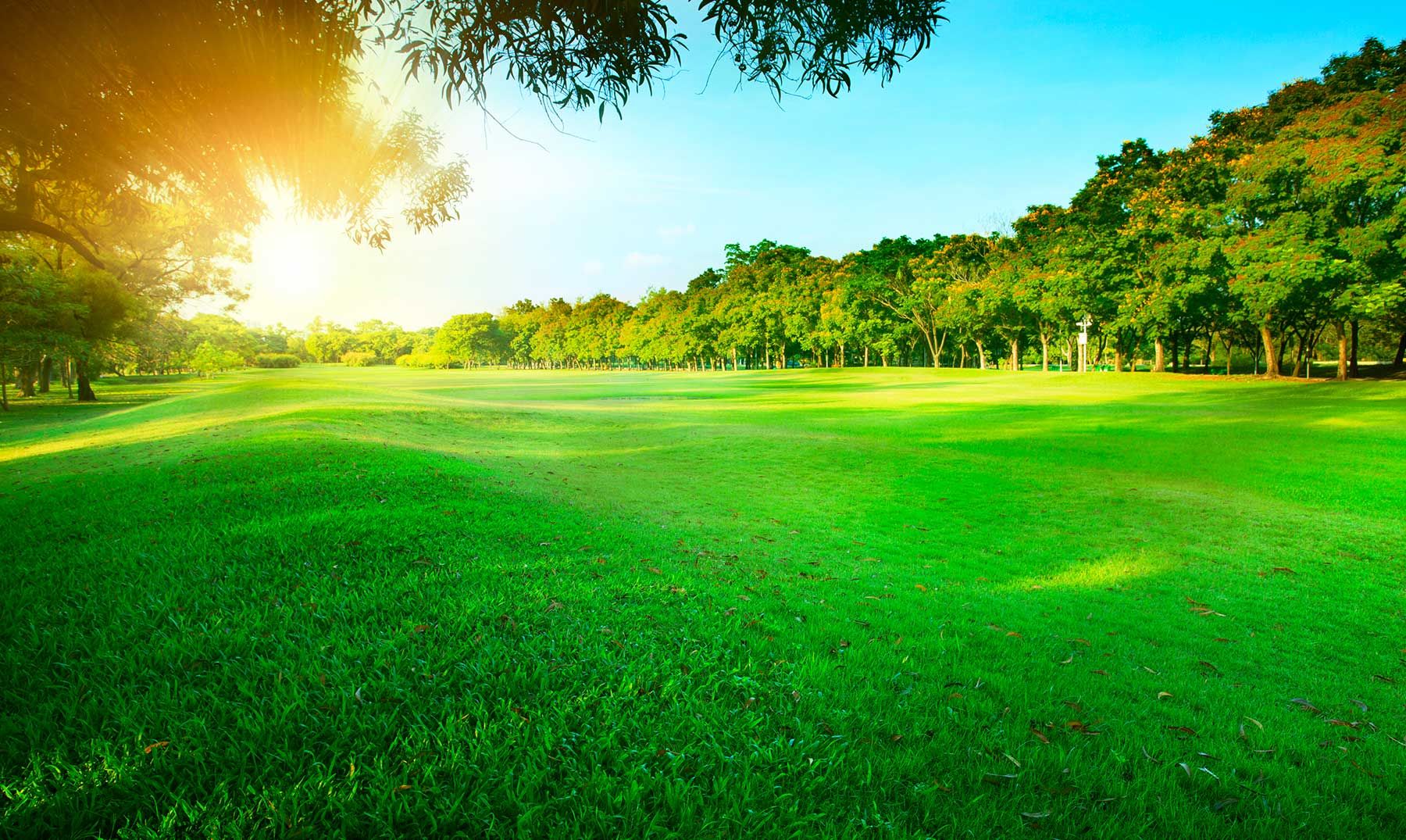 Zona verde con césped recién cortado y arboleda al atardecer